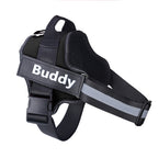 d22f84022a599b2745e1949ab55085b3