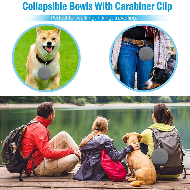 foldable double bowl pet feeding