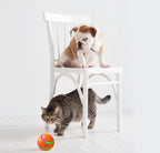 b55de04046ecbbc046a8c0a383b02bcaautomatic cat ball toy