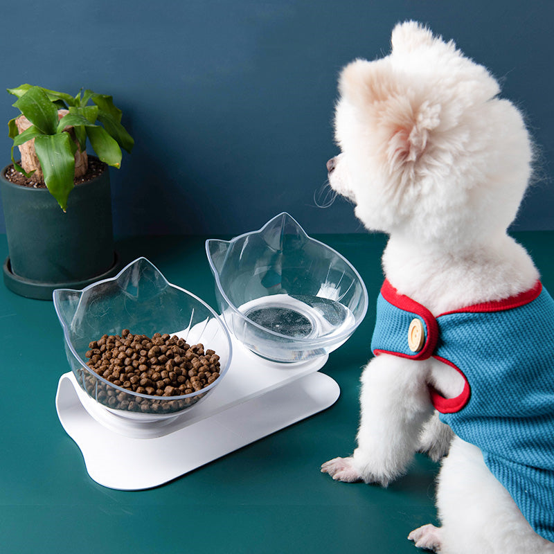 Inclined Cat Food Bowl