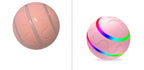 automatic cat ball toy