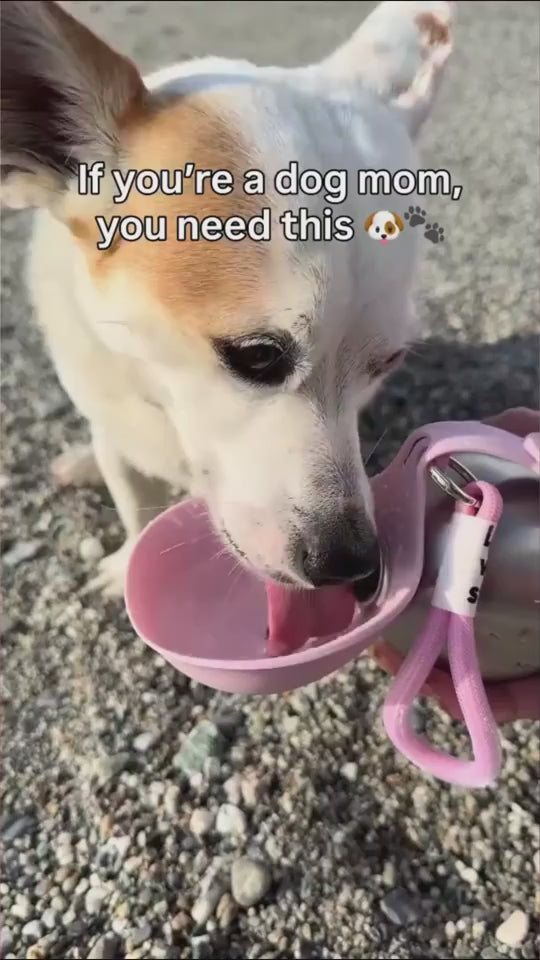 CJDT2758489-4